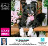 Real Estate Calendars | Reamark personalized real estate calendars